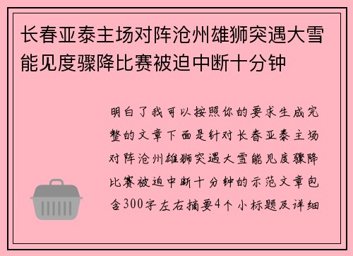 长春亚泰主场对阵沧州雄狮突遇大雪能见度骤降比赛被迫中断十分钟